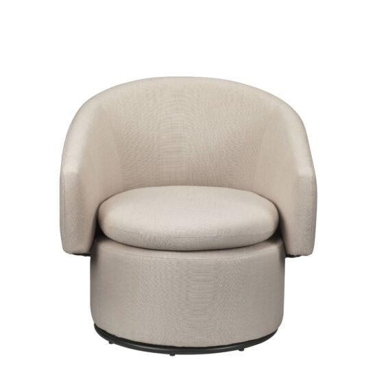 Joyner Accent Chair